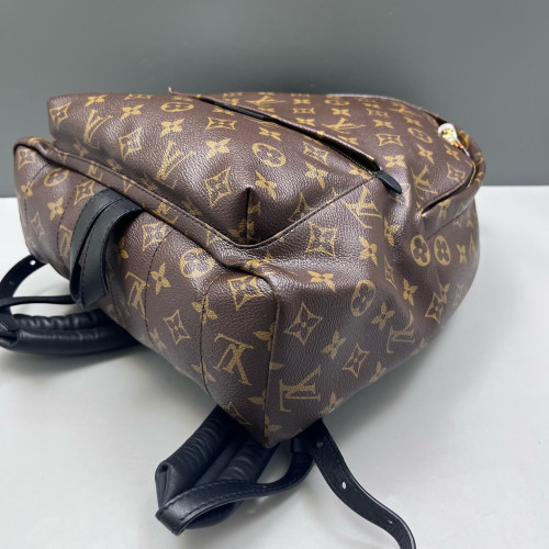 Louis Vuitton Palm Springs Backpack MM Monogram Brown