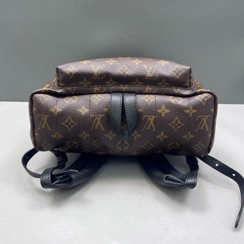 Louis Vuitton Palm Springs Backpack MM Monogram Brown