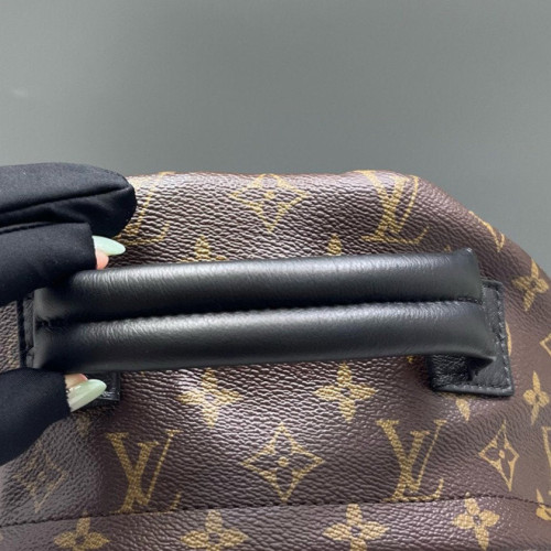Louis Vuitton Palm Springs Backpack MM Monogram Brown