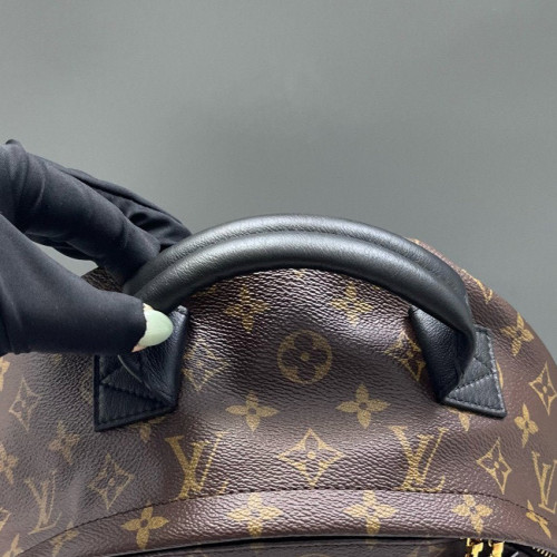 Louis Vuitton Palm Springs Backpack MM Monogram Brown