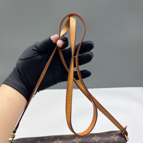 Louis Vuitton Favorite MM Monogram Brown