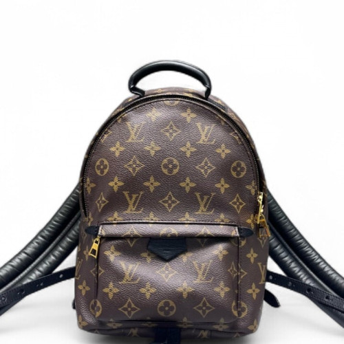 Louis Vuitton Palm Springs Backpack PM Monogram Brown