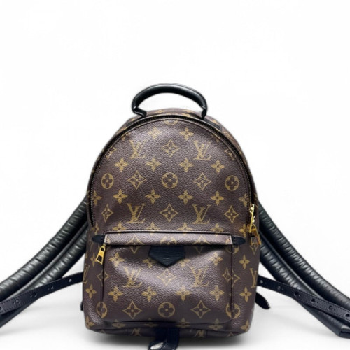 Louis Vuitton Palm Springs Backpack PM Monogram Brown