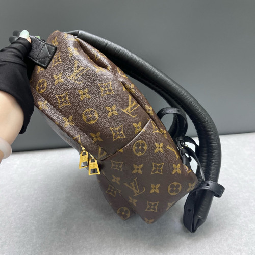Louis Vuitton Palm Springs Backpack PM Monogram Brown