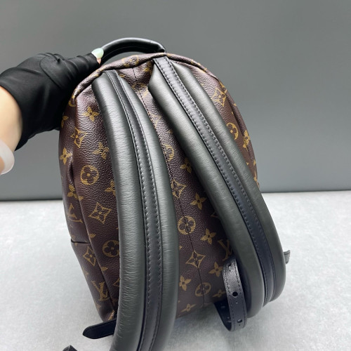 Louis Vuitton Palm Springs Backpack PM Monogram Brown