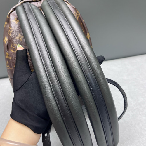 Louis Vuitton Palm Springs Backpack PM Monogram Brown