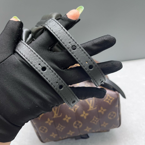 Louis Vuitton Palm Springs Backpack PM Monogram Brown