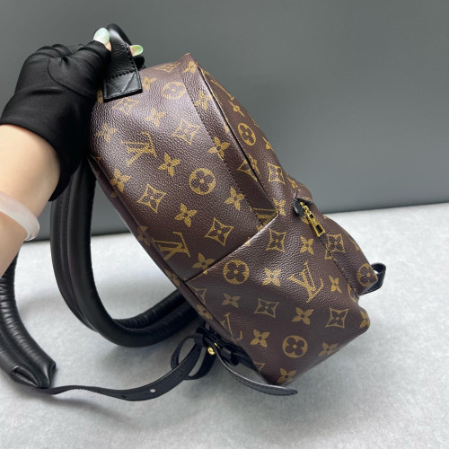 Louis Vuitton Palm Springs Backpack PM Monogram Brown