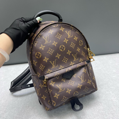 Louis Vuitton Palm Springs Backpack PM Monogram Brown