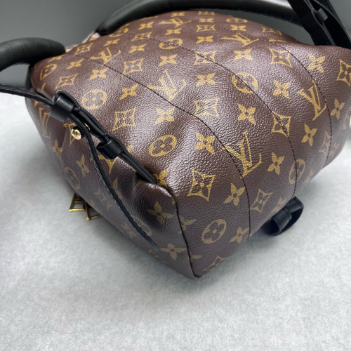 Louis Vuitton Palm Springs Backpack PM Monogram Brown
