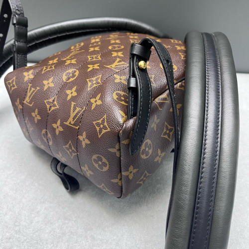 Louis Vuitton Palm Springs Backpack PM Monogram Brown