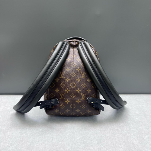 Louis Vuitton Palm Springs Backpack PM Monogram Brown