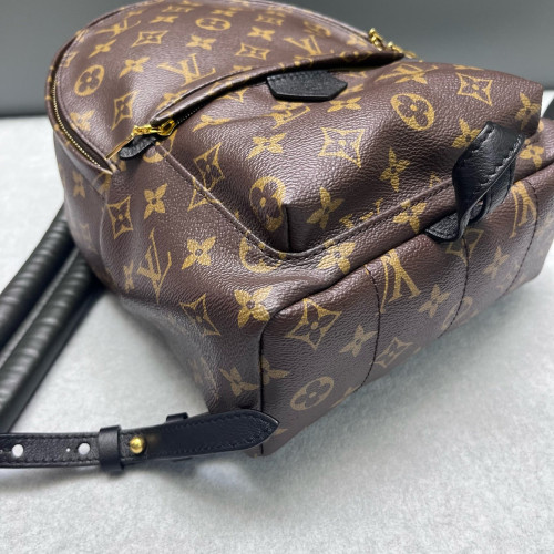 Louis Vuitton Palm Springs Backpack PM Monogram Brown
