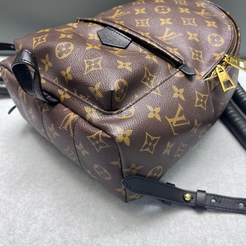 Louis Vuitton Palm Springs Backpack PM Monogram Brown