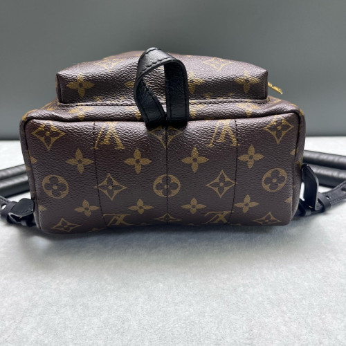 Louis Vuitton Palm Springs Backpack PM Monogram Brown