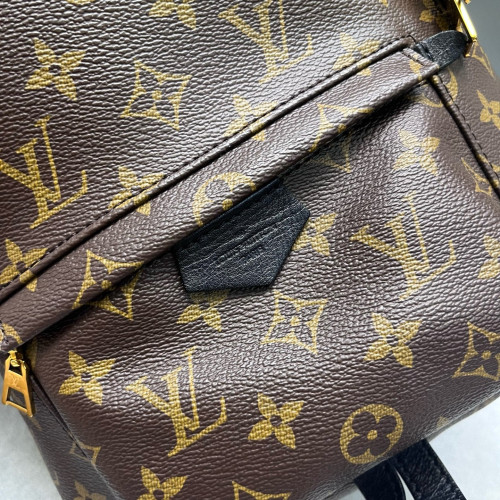 Louis Vuitton Palm Springs Backpack PM Monogram Brown