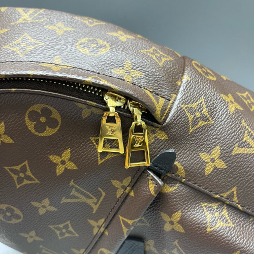 Louis Vuitton Palm Springs Backpack PM Monogram Brown