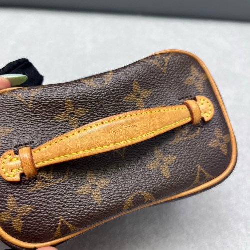 Louis Vuitton Nice Nano Monogram Brown