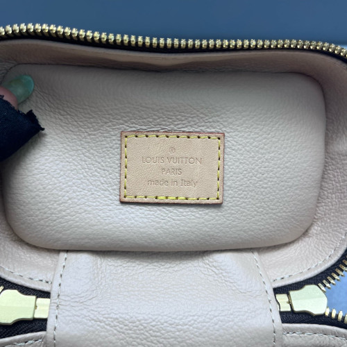 Louis Vuitton Nice Nano Monogram Brown