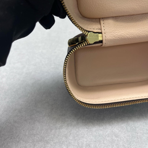 Louis Vuitton Nice Nano Monogram Brown