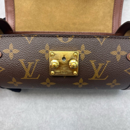 Louis Vuitton Papillon Trunk Monogram Brown