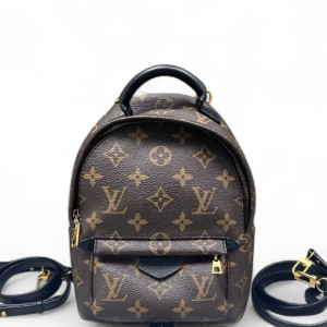 Louis Vuitton Palm Springs Backpack Mini Monogram Brown Black
