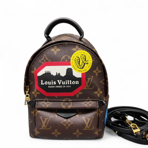 Louis Vuitton Palm Springs Backpack Mini Monogram Brown Black Red