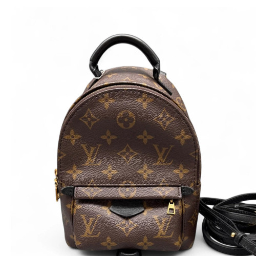 Louis Vuitton Palm Springs Backpack Mini Monogram Brown Black