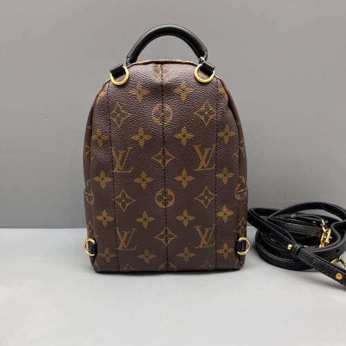 Louis Vuitton Palm Springs Backpack Mini Monogram Brown Black
