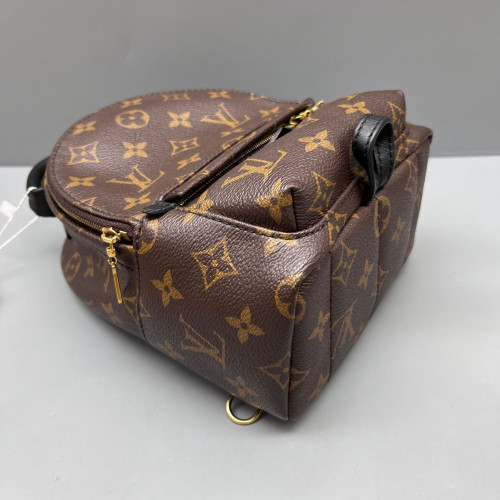 Louis Vuitton Palm Springs Backpack Mini Monogram Brown Black