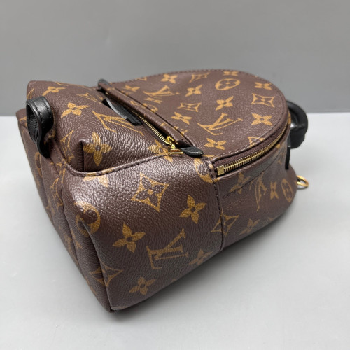 Louis Vuitton Palm Springs Backpack Mini Monogram Brown Black