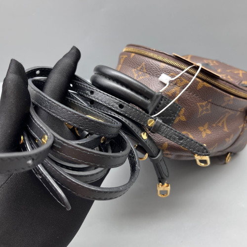 Louis Vuitton Palm Springs Backpack Mini Monogram Brown Black