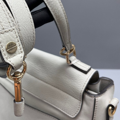 Chloe Small Faye Day Shoulder Bag Suede Grained Calfskin Light Grey