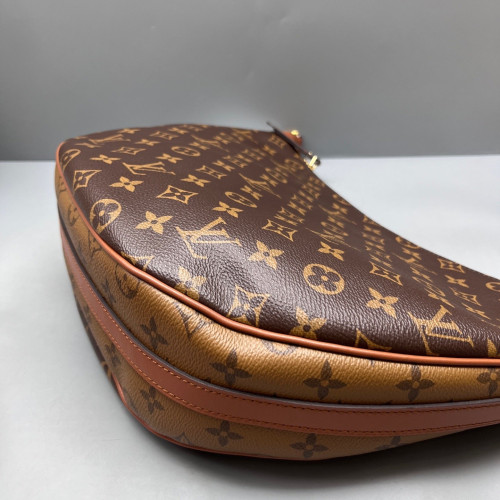 Louis Vuitton Loop Hobo Reverse Monogram Brown