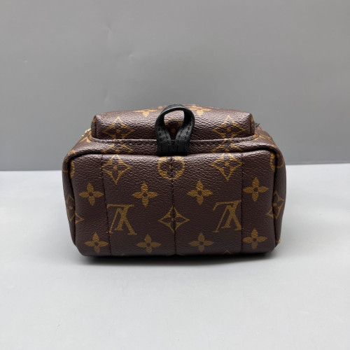 Louis Vuitton Palm Springs Backpack Mini Monogram Brown Black