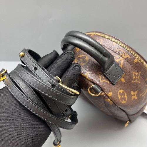 Louis Vuitton Palm Springs Backpack Mini Monogram Brown Black