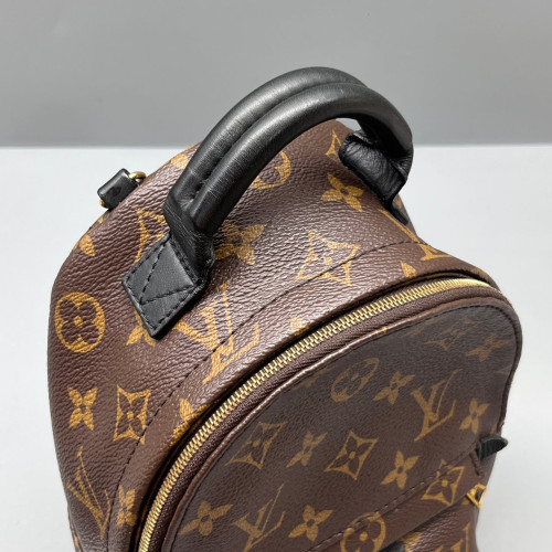Louis Vuitton Palm Springs Backpack Mini Monogram Brown Black