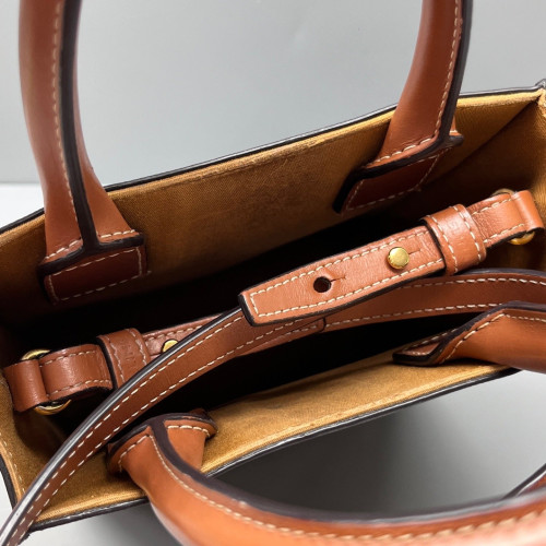 Celine Nano Vertical Cabas Triomphe Brown Black