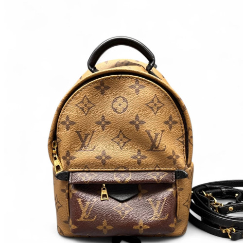 Louis Vuitton Palm Springs Backpack Mini Reverse Monogram Brown