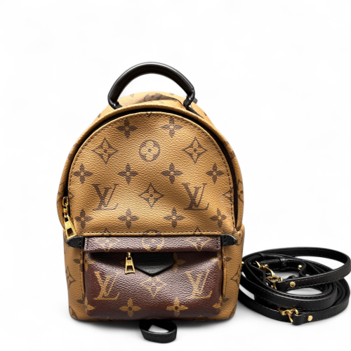 Louis Vuitton Palm Springs Backpack Mini Reverse Monogram Brown
