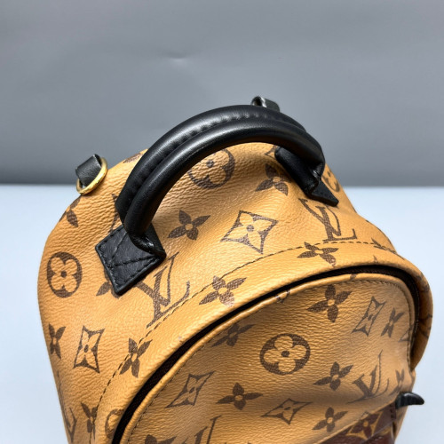 Louis Vuitton Palm Springs Backpack Mini Reverse Monogram Brown