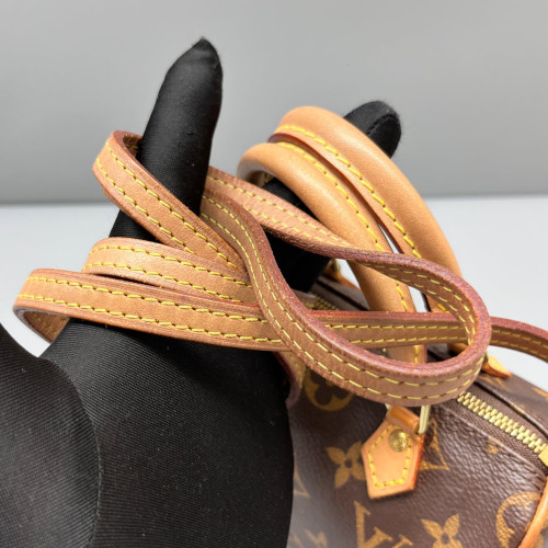 Louis Vuitton Nano Speedy Monogram Brown