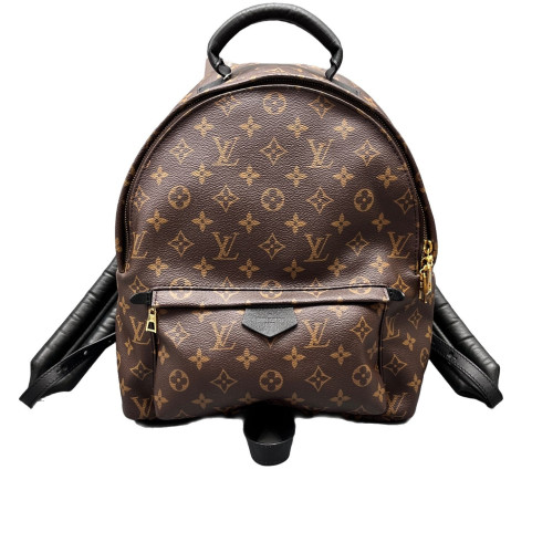 Louis Vuitton Palm Springs Backpack MM Monogram Brown