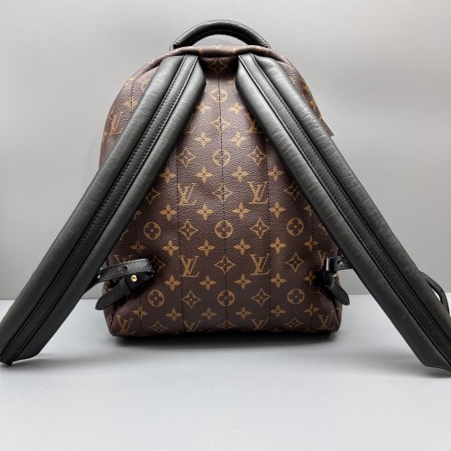 Louis Vuitton Palm Springs Backpack MM Monogram Brown
