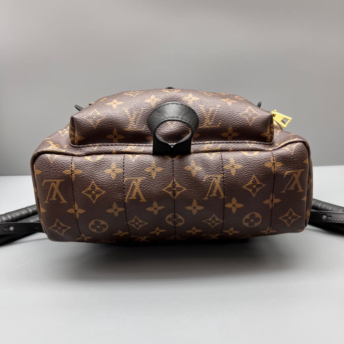 Louis Vuitton Palm Springs Backpack MM Monogram Brown