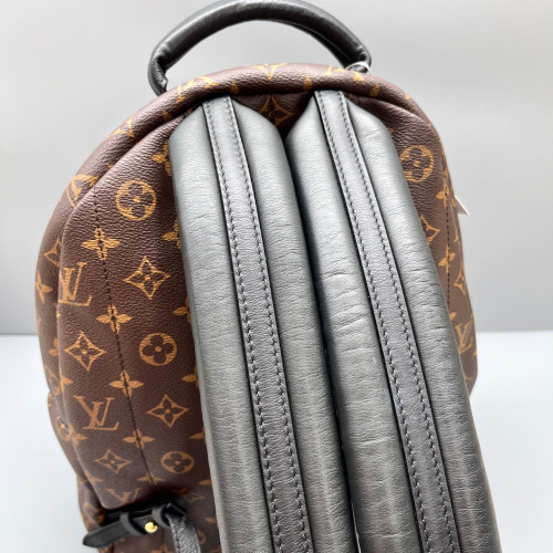 Louis Vuitton Palm Springs Backpack MM Monogram Brown