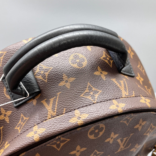 Louis Vuitton Palm Springs Backpack MM Monogram Brown