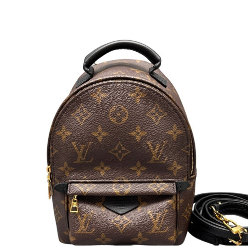 Louis Vuitton Palm Springs Backpack Mini Monogram Brown