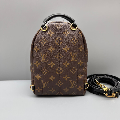 Louis Vuitton Palm Springs Backpack Mini Monogram Brown