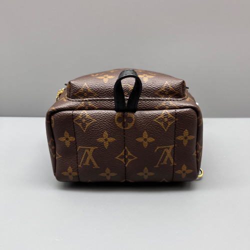 Louis Vuitton Palm Springs Backpack Mini Monogram Brown
